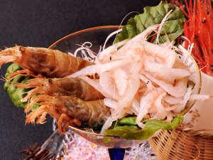 春の味覚のエビを食べ比べ！３種のエビをご堪能ください♪　（写真はガスエビと白エビ）