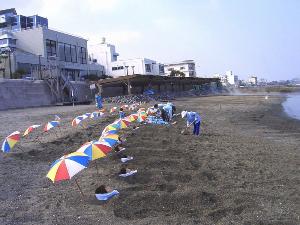 指宿名物！砂蒸し温泉