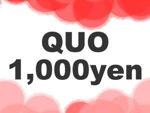 プランイメージ（QUO1000）