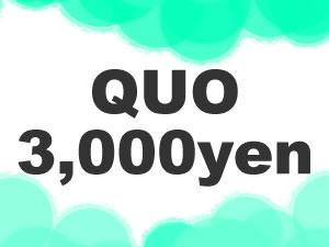 プランイメージ（QUO3000）