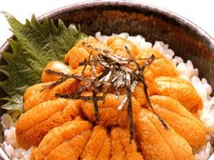 旬の松前産生うには、生きたまま殻を割りお召し上がりいただけます。天然の味をお楽しみくださいませ。