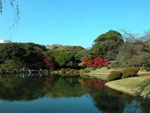 【新宿御苑】当館より徒歩２分。東京を代表する庭園、四季折々の表情がお楽しみいただけます。
