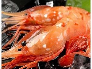 ５月から６月いっぱいしか水揚げされない、虎杖浜の春を告げるボタンエビ