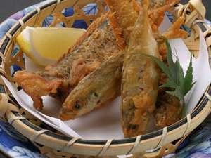 自分で釣り上げた魚の味は最高です♪