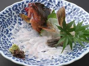 大物を釣り上げれば見た目にも美しいお造りに♪