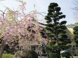 本館「山吹の花」の玄関前にある薬師神社