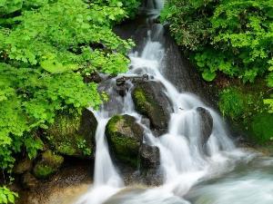 ホテル前の景色／ホテル前にはニセコアンベツ川の渓流が。滝が流れ秋には紅葉が愉しめます