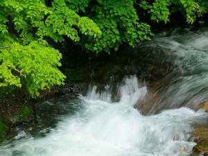 ホテル前の景色／ホテル前にはニセコアンベツ川の渓流が。ニセコの森と空、空気に癒されます。