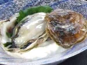 【隠岐産　岩かき春香】（生・焼きのチョイス可）海のミネラルをたっぷり含んだ初夏の海宝