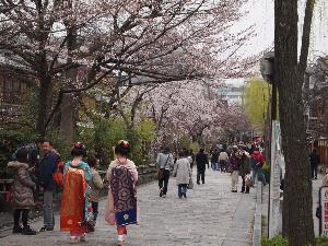 白川南通です。桜の季節には夜のライトアップも行われます。