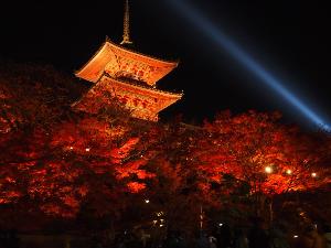 清水寺、秋のライトアップの様子です。