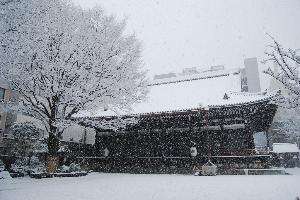 冬、雪が降り積もった本能寺本堂と境内です。