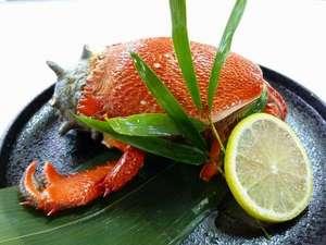 あさひがに。こう見えてもカニで～す。