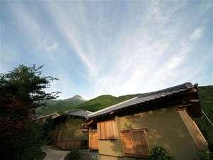 風の稲・外観