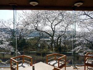 桜の時期のロビー