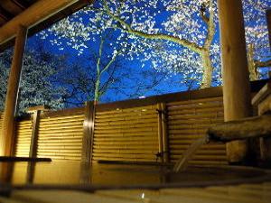 桜の時期の露天風呂「白山市之瀬」