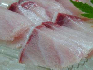 美国沖の天然ブリのお造り