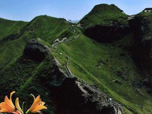 神威岬遊歩道　夏