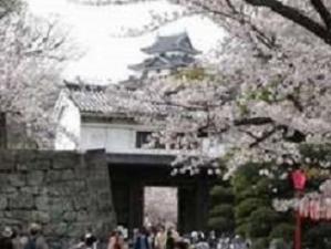 和歌山城