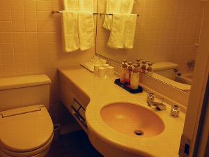 各客室はユニットバスタイプ（トイレは前室ウォシュレット完備）