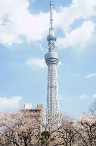 桜越しのスカイツリーはとてもきれいです。