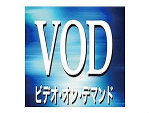 VOD見放題♪