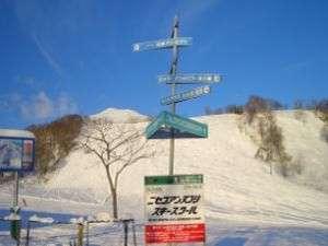 ニセコのゲレンデは、ゆったりしてストレス無し、コースも多彩で、２週間は飽きないぞ