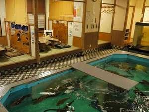 御食事処　水族館を思わせる水槽の前で、御食事が楽しめます。
