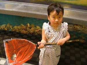 水槽から魚を揚げた子供