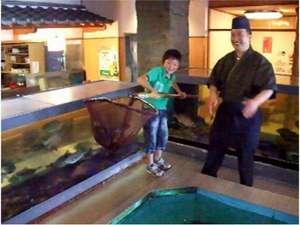 ご注文の魚を、お客様がご自身で水槽から網ですくうことが出来ます