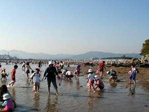 赤穂唐船サンビーチ　潮干狩り　４月末～６月末まで