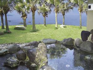 志布志湾を一望できるタラサの湯【海水露天岩風呂】