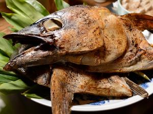 鮪かぶと焼き
