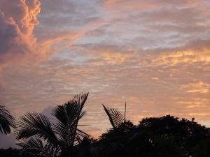 テラスより夕焼け