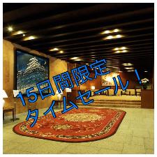 １５日間限定タイムセールプラン