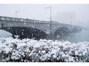 重要文化遺産である萬代橋も雪に染められ、より一層美しくなります。