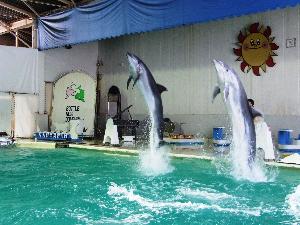 おたる水族館