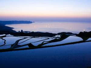可愛らしい海の生き物とふれ合うスノーケリング付きプラン☆