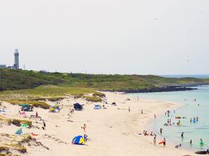 入園券付プランあり☆秋吉台サファリランド（湯本温泉から車で約30分）