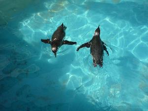 新潟市水族館マリンピア日本海