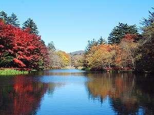 紅葉の見事な雲場池・・・佐久平からは車で３０分！（１０月下旬から見頃です）