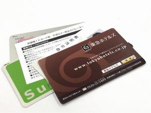フラックス・ビスカード付きプラン