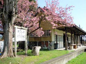 熱塩駅の八重桜