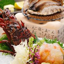 伊豆の伊勢海老・鮑は海の王者