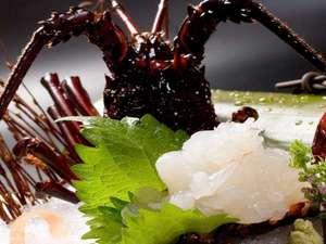 一番人気はやっぱり伊勢海老のお刺身。朝食にお味噌汁でも召し上がれます。
