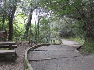 城山遊歩道をお散歩されてみてはいかがでしょう？