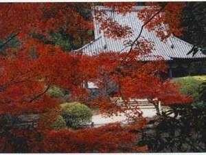 長岳寺