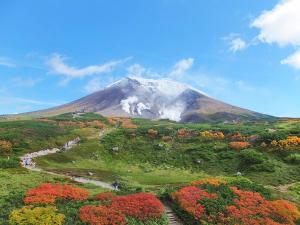 【秋の旭岳】青空と紅葉のコントラストが美しい景色