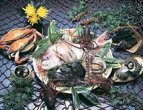 近港で捕れた新鮮な魚介類で料理