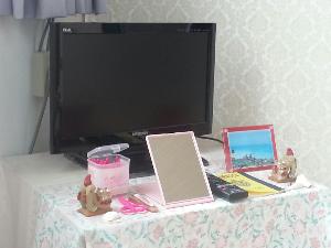 全室地デジ対応のテレビ完備　無料でご利用頂けます